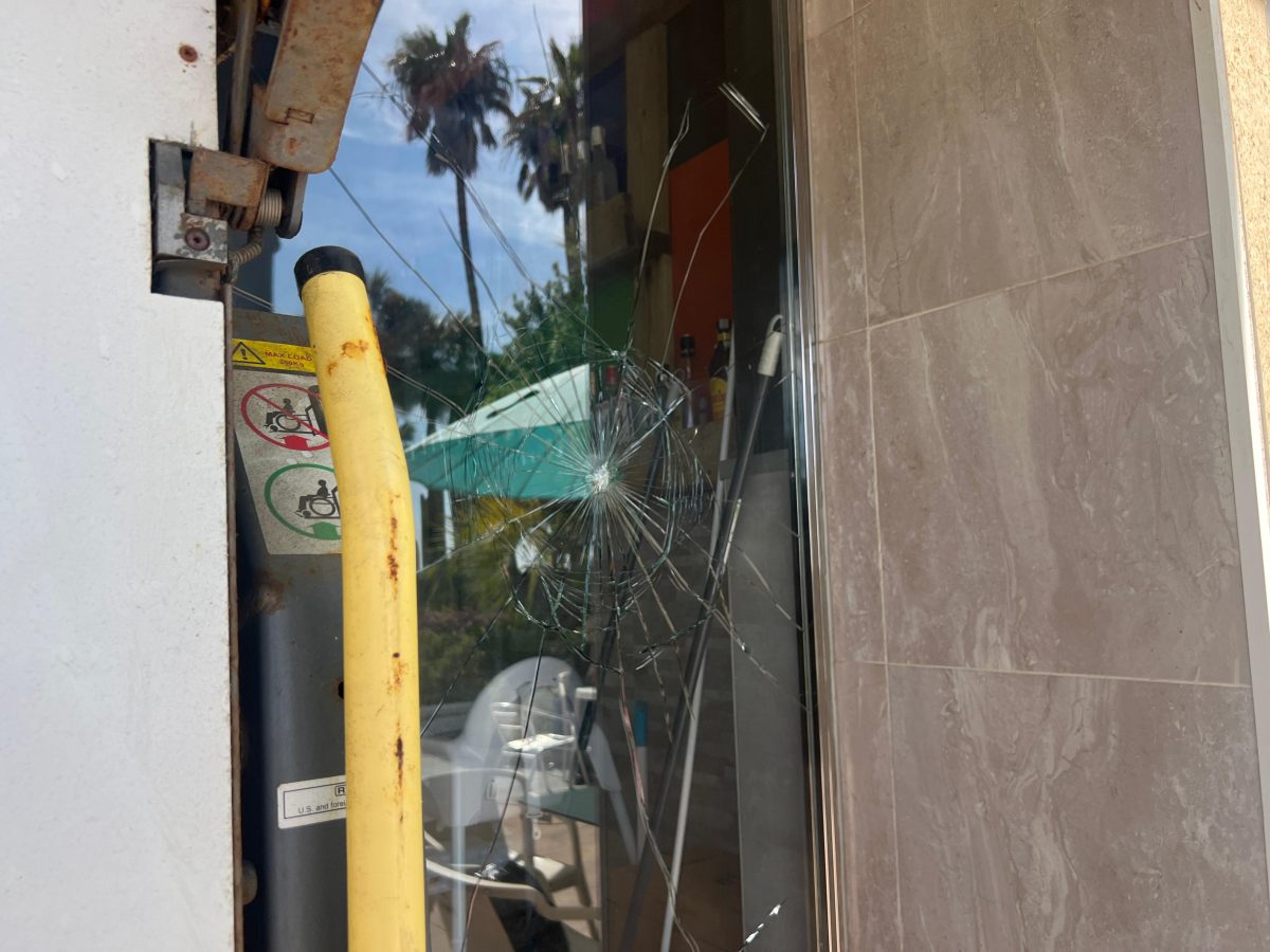 Los responsables de los robos en Estepona: dos grupos, uno de ellos ya identificado - WhatsApp Image 2024 04 04 at 12.21.59 PM Los responsables de los robos en Estepona: dos grupos, uno de ellos ya identificado - WhatsApp Image 2024 04 04 at 12.21.59 PM