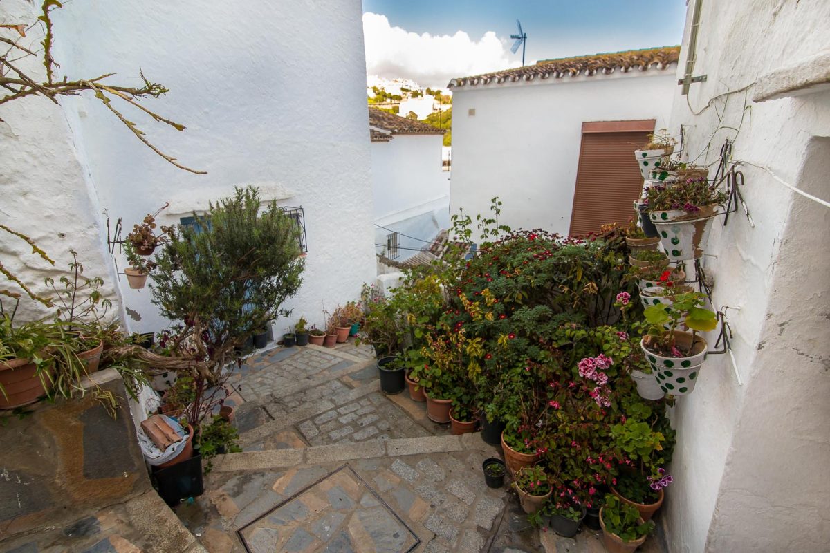 Casares premiará la mejor fachada y callejón de la localidad - casares callejondelrey IMG 1918 Callejón de Casares.