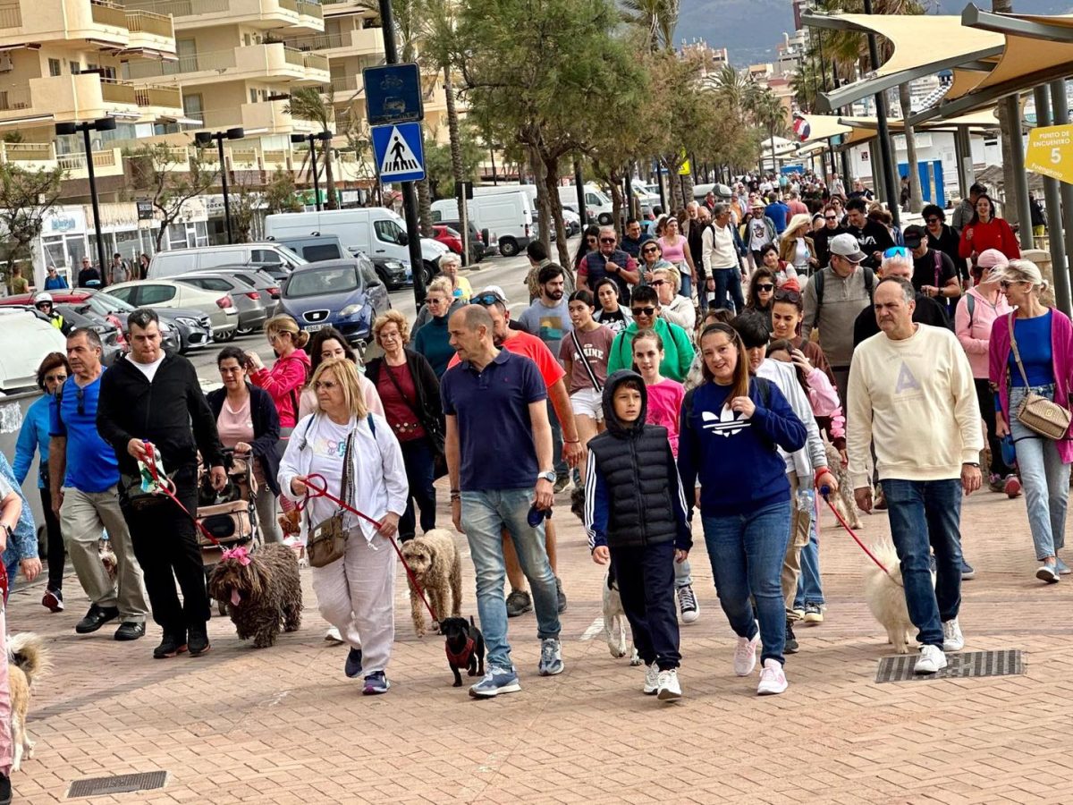 ¡Los perros toman Fuengirola! El XIV Día del Perro se celebrará el 6 de abril en el Castillo Sohail - perros 1 ¡Los perros toman Fuengirola! El XIV Día del Perro se celebrará el 6 de abril en el Castillo Sohail - perros 1
