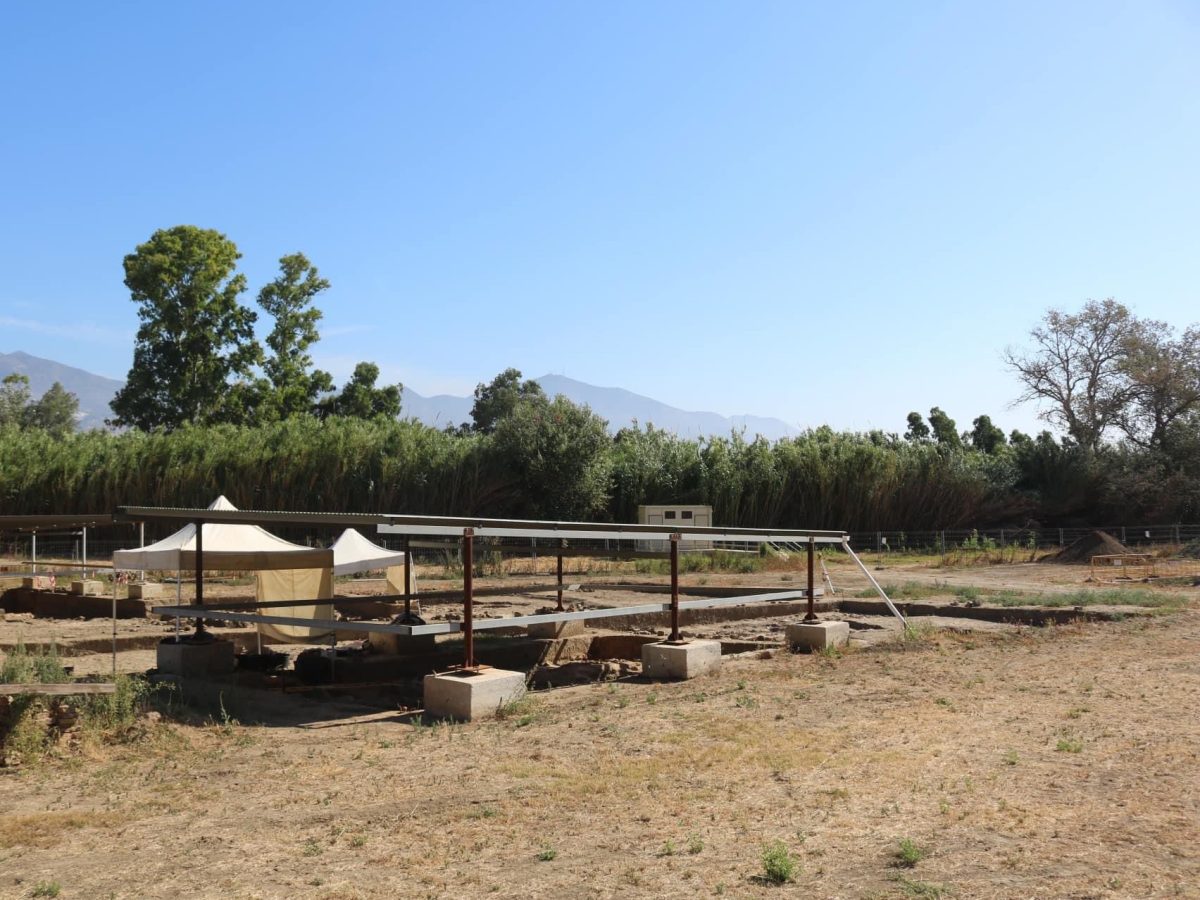 El Yacimiento del Cortijo Acebedo se centra en labores de conservación y en visitas educativas - yacimiento cortijo de acebedo El yacimiento del Cortijo Acebedo.