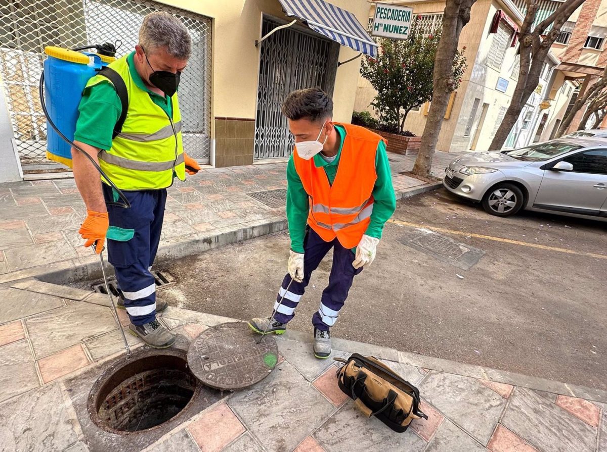 Fuengirola intensifica las labores de desinsectación ante la llegada del calor - Fuengirola desinsectacion Fuengirola intensifica las labores de desinsectación ante la llegada del calor - Fuengirola desinsectacion