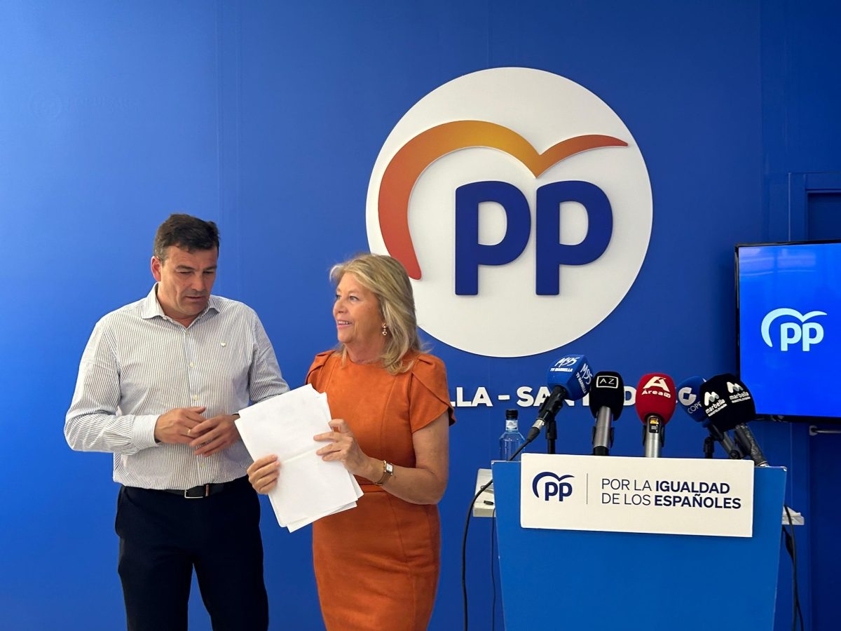 Ángeles Muñoz pide a Sánchez el compromiso del tren litoral para Marbella - WhatsApp Image 2024 05 20 at 16.34.15 El PP exige el tren litoral en la Costa del Sol. / D.DIMITRESCU