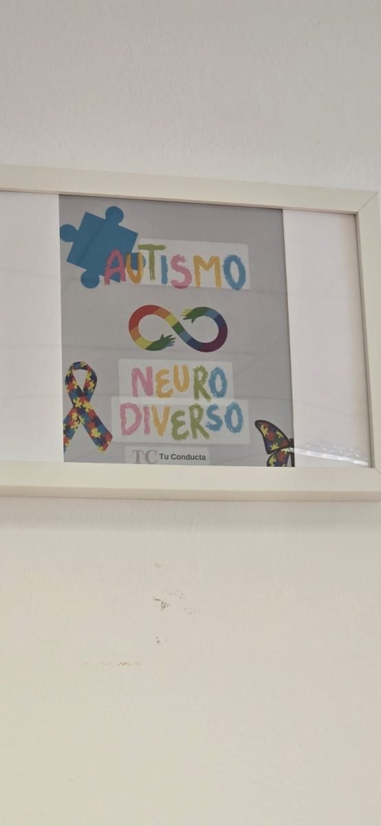 Apprende Benalmádena, un lugar donde las personas con discapacidad aprenden, disfrutan y se relacionan - c4dc6130 8713 480b ba5c 6f0de7b40f3d Apprende Benalmádena, un lugar donde las personas con discapacidad aprenden, disfrutan y se relacionan - c4dc6130 8713 480b ba5c 6f0de7b40f3d
