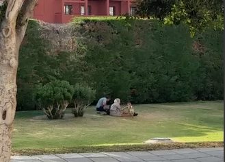 Denuncian maltrato a un perro en pleno parque de Fuengirola - maltrato 2 Denuncian maltrato a un perro en pleno parque de Fuengirola - maltrato 2