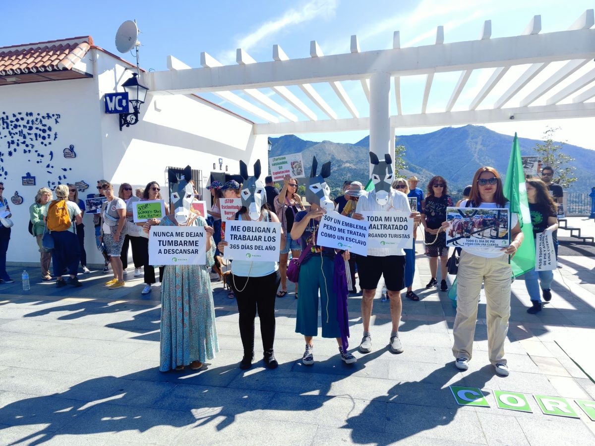 PACMA lucha por el bienestar de los burros-taxis en Mijas: "Hemos visto animales enfermos trabajando" - manifestacion PACMA 1 PACMA lucha por el bienestar de los burros-taxis en Mijas: "Hemos visto animales enfermos trabajando" - manifestacion PACMA 1