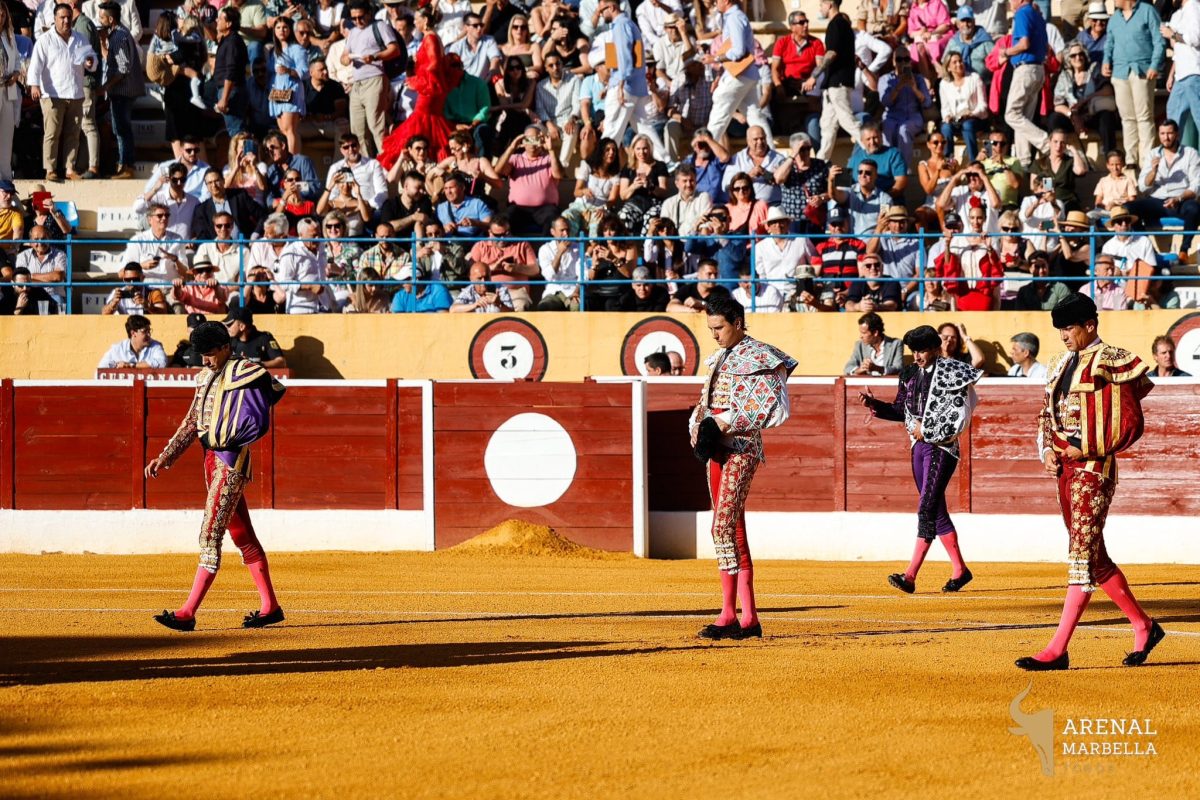 Galería fotográfica de la vuelta de los toros a Marbella - Interior toros Marbella Galería fotográfica de la vuelta de los toros a Marbella - Interior toros Marbella