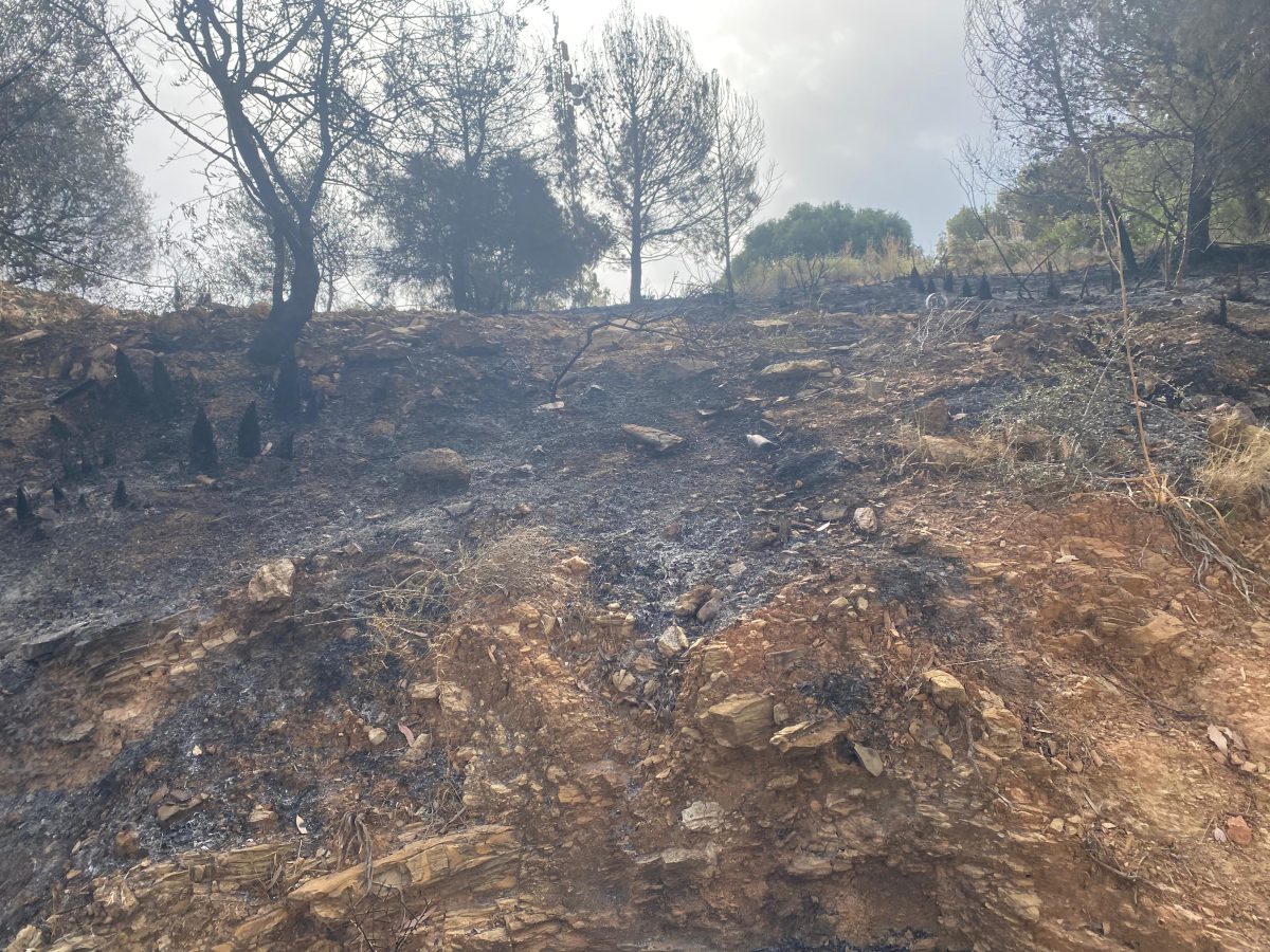 Controlado el incendio forestal en Mijas - WhatsApp Image 2024 06 06 at 10.38.27 Controlado el incendio forestal en Mijas - WhatsApp Image 2024 06 06 at 10.38.27