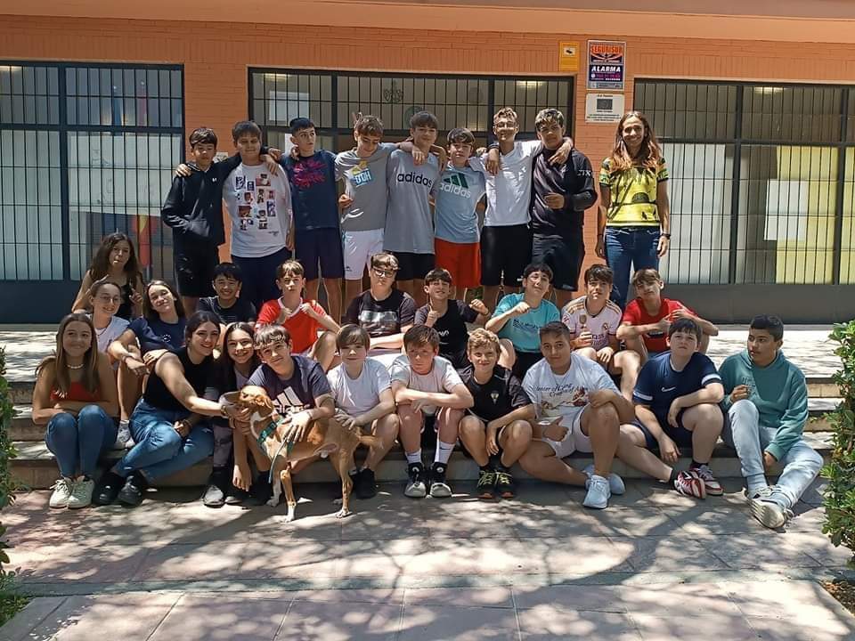 Alumnos de IES Playamar de Torremolinos salvan la vida de Flaquito, un podenco abandonado - WhatsApp Image 2024 06 24 at 13.28.07 Alumnos de IES Playamar de Torremolinos salvan la vida de Flaquito, un podenco abandonado - WhatsApp Image 2024 06 24 at 13.28.07