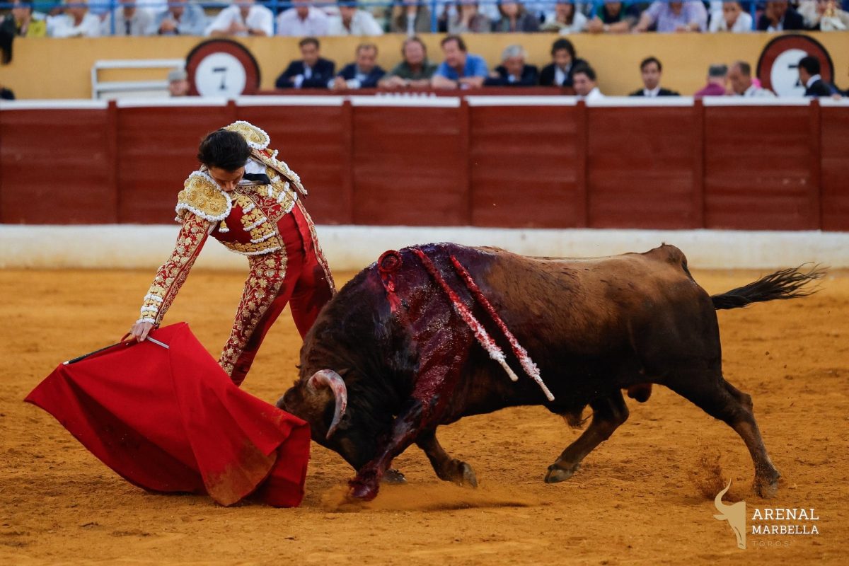 Galería fotográfica de la vuelta de los toros a Marbella - d18a54de ad76 48c0 a99e fb6f24c702ae Galería fotográfica de la vuelta de los toros a Marbella - d18a54de ad76 48c0 a99e fb6f24c702ae