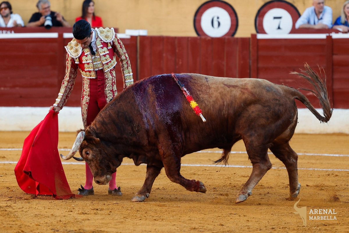 Galería fotográfica de la vuelta de los toros a Marbella - eff22953 c216 48eb ae9c a1e0f28fdcee Galería fotográfica de la vuelta de los toros a Marbella - eff22953 c216 48eb ae9c a1e0f28fdcee