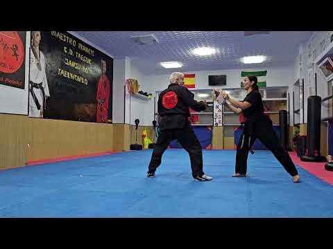 Curso solidario de defensa personal en Fuengirola para recaudar fondos para una protectora animal - hqdefault El Maestro Francis en su escuela.