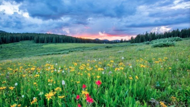 La primavera se despide esta semana con una DANA que dejará lluvias el miércoles - primavera 1 La primavera se despide esta semana con una DANA que dejará lluvias el miércoles - primavera 1