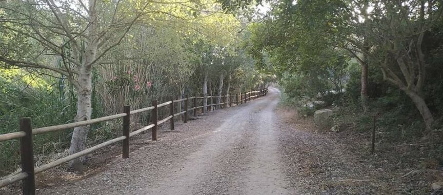 Manilva contará con un circuito de senderos en la zona de La Peñuela - FB IMG 1707080610394 864x380 1 Manilva contará con un circuito de senderos en la zona de La Peñuela