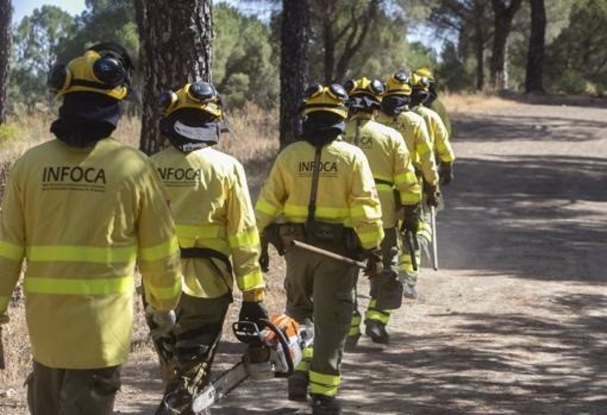 Apagado el incendio forestal declarado este pasado viernes en Ronda - Infoca archivo Apagado el incendio forestal declarado este pasado viernes en Ronda - Infoca archivo