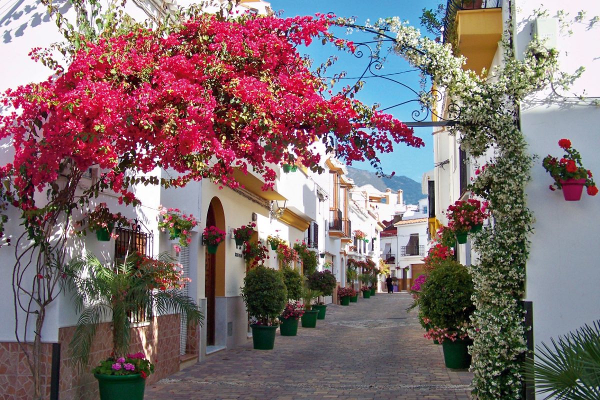 Turismo de residencia, la clave del éxito de Estepona para que prime la calidad de vida - 201 25 5 16 11 Ciudad de Estepona