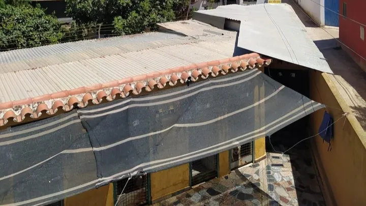 Una vecina de Mijas lanza un crowdfunding para poder ayudar a los perros abandonados que recibe en su casa - 81856893 1722693680976064 r.jpeg Refugio en el que colabora Odette, vecina de Mijas
