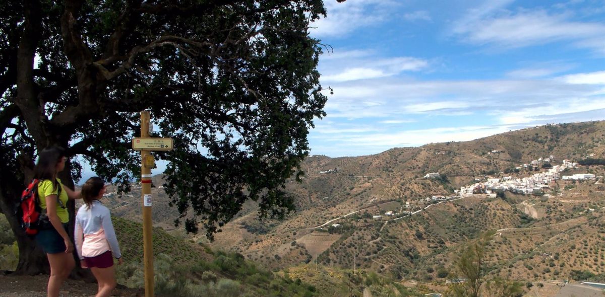 La Diputación adjudica por 664.000 euros el mantenimiento de 553 kilómetros de senderos de gran recorrido - Gran senda La Diputación adjudica por 664.000 euros el mantenimiento de 553 kilómetros de senderos de gran recorrido - Gran senda