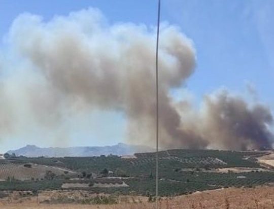 Declarado un incendio forestal en Antequera - fotonoticia 20240814171731 1920 e1723652079576 Declarado un incendio forestal en Antequera - fotonoticia 20240814171731 1920 e1723652079576