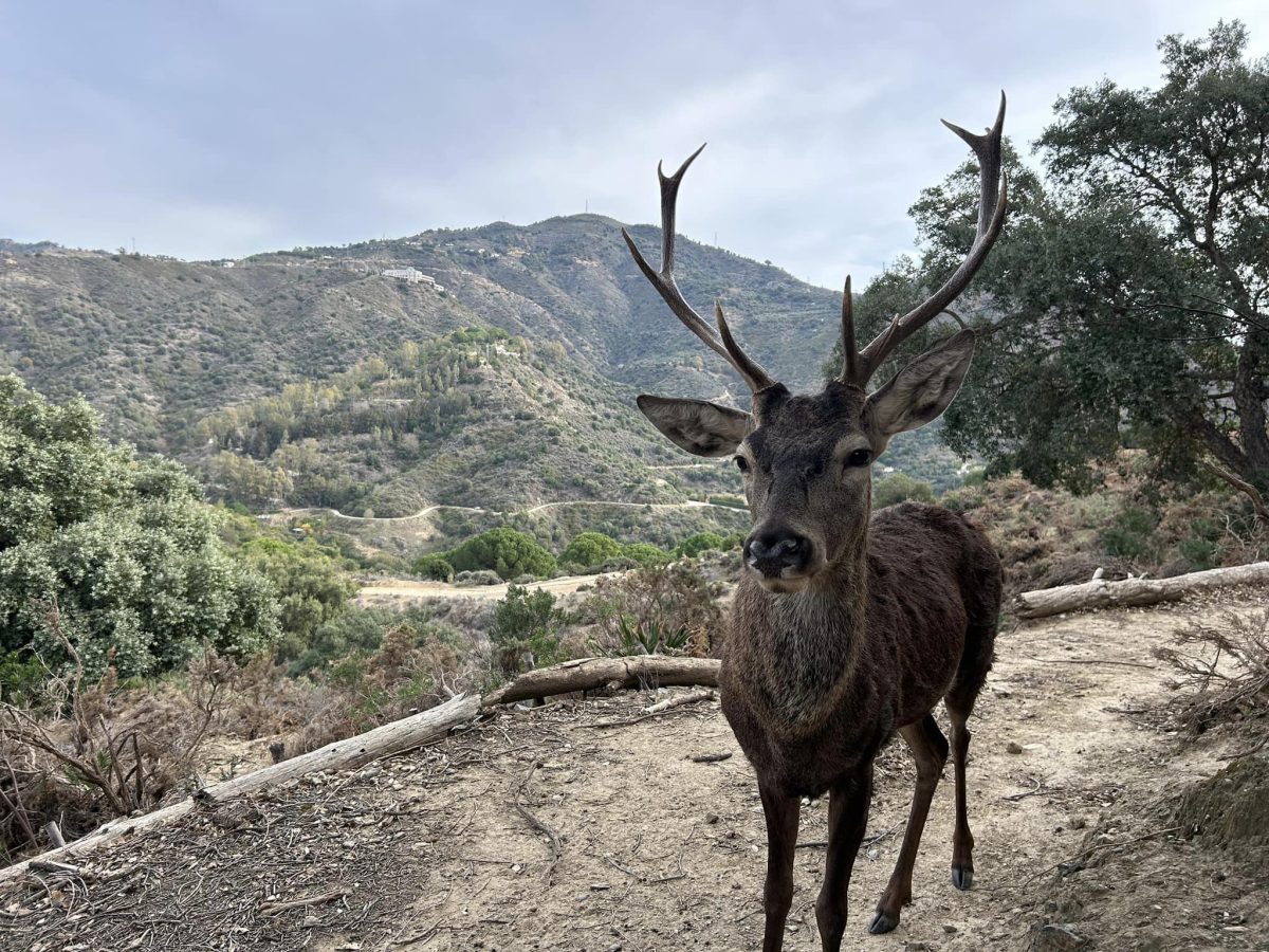 La EcoReserva de Ojén supera las 100.000 firmas para evitar su cierre - 406242875 880217330775557 145120812605551551 n La EcoReserva de Ojén supera las 100.000 firmas para evitar su cierre - 406242875 880217330775557 145120812605551551 n