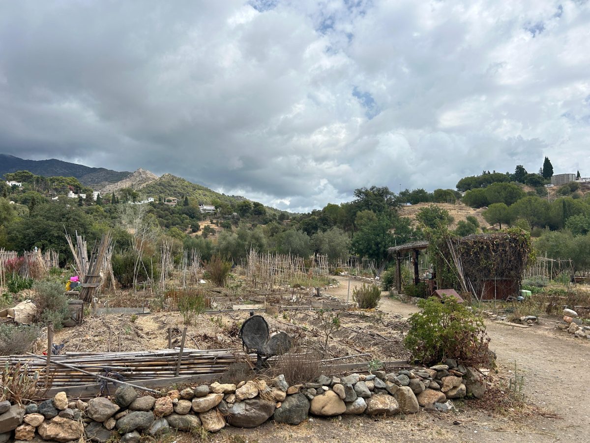 Marbella Verde propone un plan alternativo para salvar los huertos ecológicos del Parque Huerto Prado - Imagen de WhatsApp 2024 09 17 a las 13.50.51 0c71b4fa Marbella Verde propone un plan alternativo para salvar los huertos ecológicos del Parque Huerto Prado - Imagen de WhatsApp 2024 09 17 a las 13.50.51 0c71b4fa
