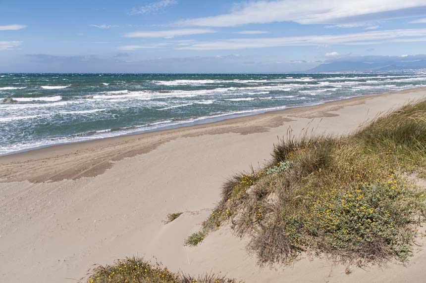 A juicio el crimen de Natalia, decapitada y lanzada al mar en Marbella: piden 25 años de prisión para el acusado - Playa Real Zaragoza en Marbella Playa Real de Zaragoza, Marbella.
