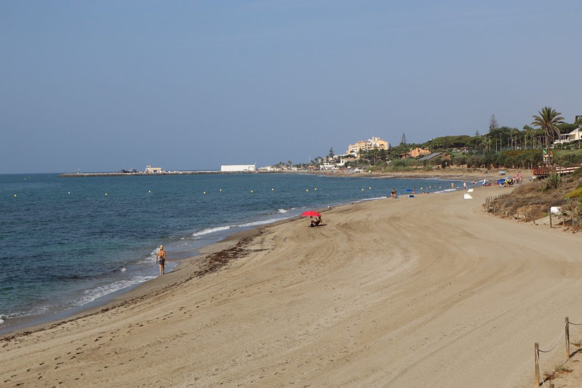 Mijas impulsa la Red de Protección Marina para preservar sus ecosistemas marinos - Playa Mijas impulsa la Red de Protección Marina para preservar sus ecosistemas marinos - Playa