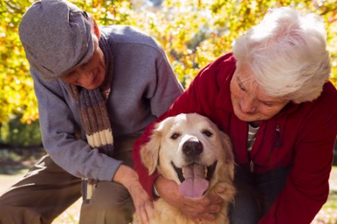 Adoptar una mascota: La iniciativa de la Diputación de Málaga para mitigar la soledad de las personas mayores - geriatricarea convivenciamascotas Dos mayores y su mascota.