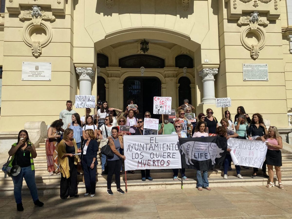 Asociaciones animalistas de Málaga se manifiestan contra la caza urbana de jabalíes con arco y flechas autorizada por la Junta - 462672891 1116991047098183 1164183734109753538 n Asociaciones animalistas de Málaga se manifiestan contra la caza urbana de jabalíes con arco y flechas autorizada por la Junta./ E. CASTILLEJO