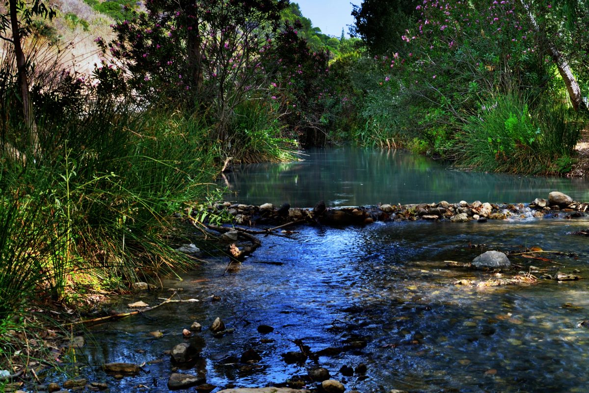 Evitando que el plástico llegue al mar: puedes unirte a la limpieza del cauce del Río Manilva - Aguas sulfurosas del Rio Manilva Evitando que el plástico llegue al mar: puedes unirte a la limpieza del cauce del Río Manilva