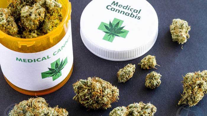 Sanidad dará el 'ok' a la utilización del cannabis medicinal para enfermedades como el cáncer - cannabis medicinal Cannabis medicinal. Archivo