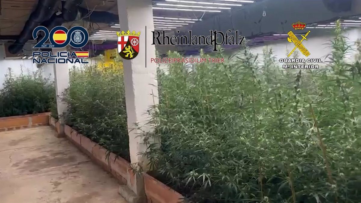 Once personas detenidas por enviar droga a través de empresas de paquetería desde Benalmádena - detenidos hachis malaga Doce detenidos por exportar gran cantidad de anfetaminas, hachís y marihuana desde Málaga a Alemania.
