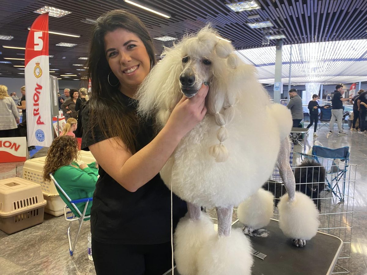 Los perros de raza campeones del mundo se dan cita en Torremolinos en un evento único - 467021246 1147551914042096 3255044008575056751 n Expocan en Torremolinos. Elena Castillejo