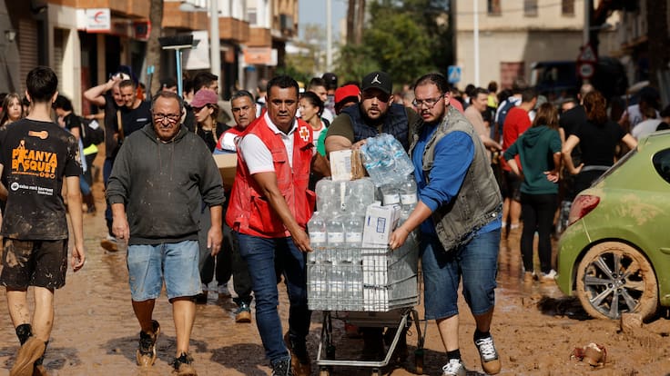 Casares se suma a la recogida urgente para Valencia: aquí puedes ayudar - IMG 6189 Casares se suma a la recogida urgente para Valencia: aquí puedes ayudar - IMG 6189