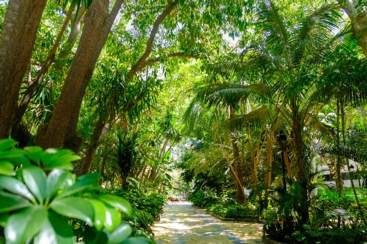 Marbella consigue un hito histórico en los premios Andalucía en Flor por su gestión de las zonas verdes - dscf5857 Zonas verdes de Marbella.