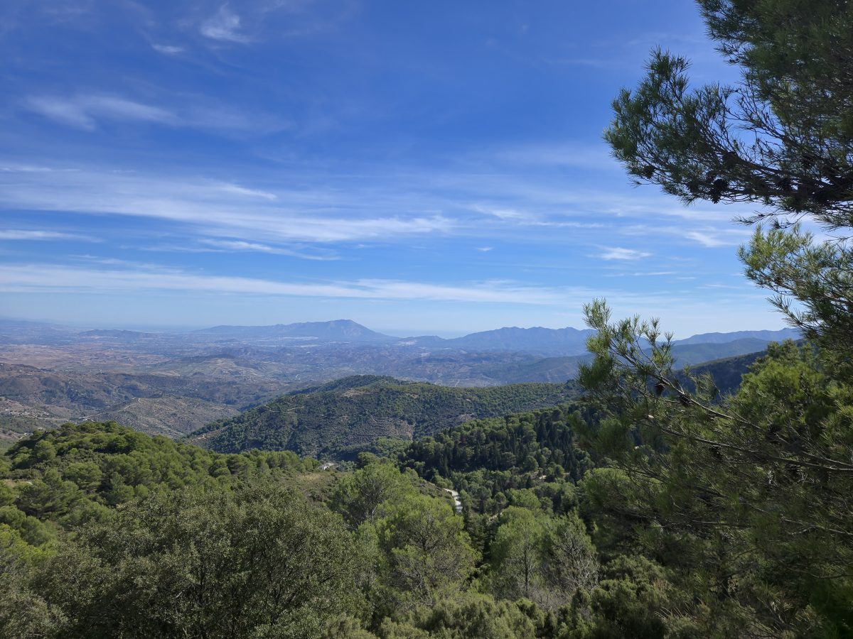 Cuatro rutas senderistas imprescindibles para descubrir la Sierra de las Nieves - 20241020 141728 Cuatro rutas senderistas imprescindibles para descubrir la Sierra de las Nieves - 20241020 141728