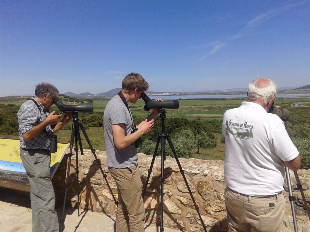 Diputación recopila 16 rutas por Málaga para avistar más de 300 especies de aves durante el año - Avistando aves Diputación recopila 16 rutas por Málaga para avistar más de 300 especies de aves durante el año - Avistando aves