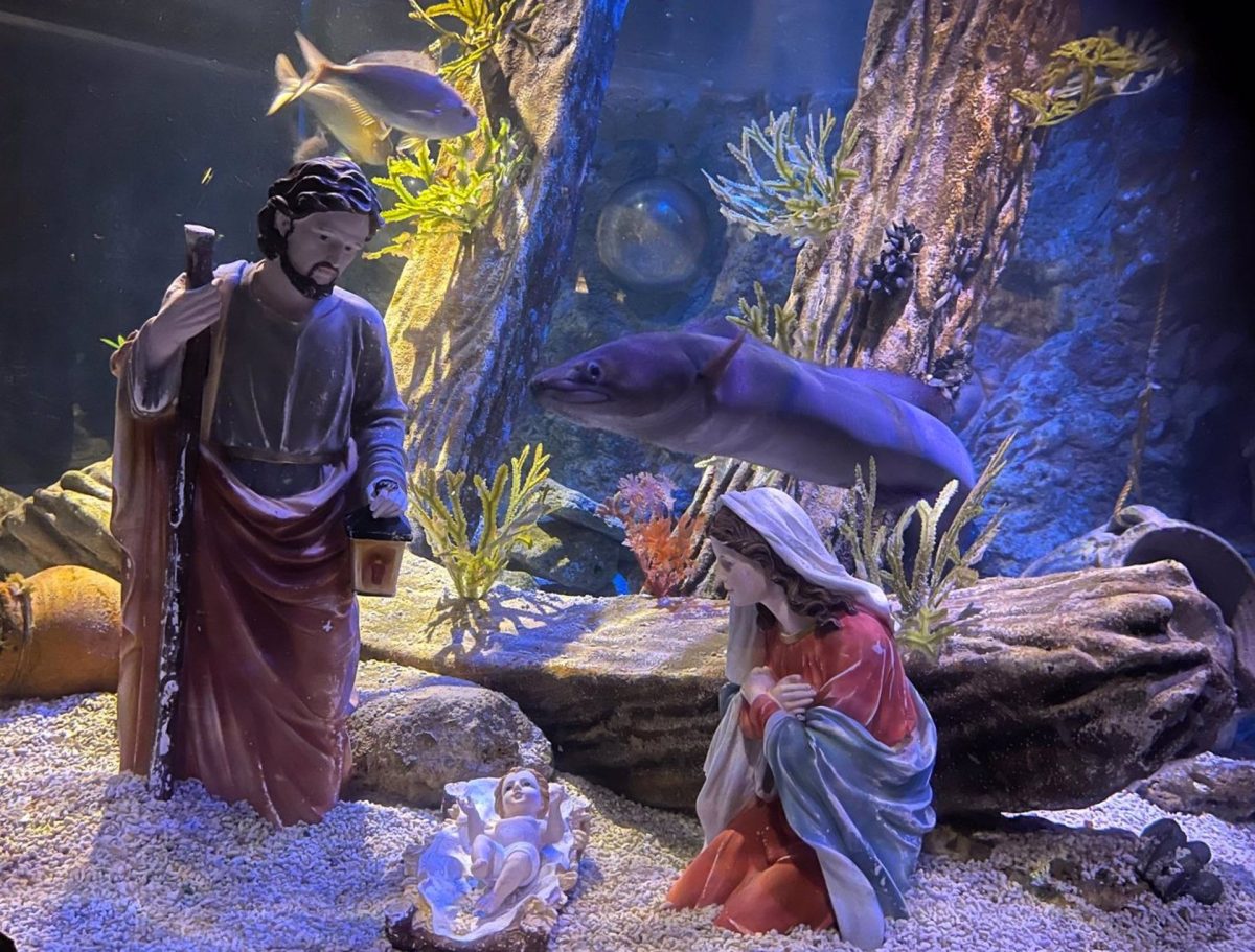 El belén submarino de Sea Life comparte la Navidad con meros, gallinetas, pargos y congrios - Belen Sea Life El belén submarino de Sea Life comparte la Navidad con meros, gallinetas, pargos y congrios - Belen Sea Life