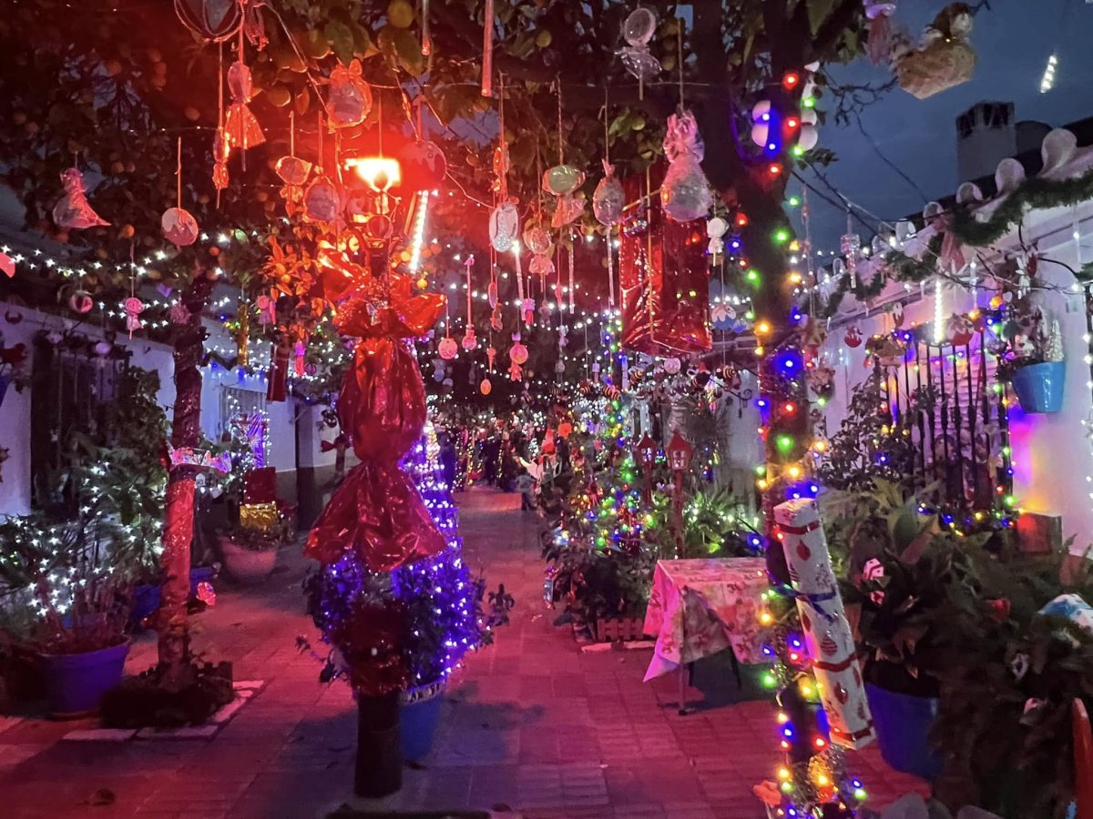 Belenes vivientes, motos y minicampanadas: así será la Navidad 2025 en Marbella, San Pedro, Nueva Andalucía y Las Chapas - Calle Navidad Marbella Belenes vivientes, motos y minicampanadas: así será la Navidad 2025 en Marbella, San Pedro, Nueva Andalucía y Las Chapas - Calle Navidad Marbella