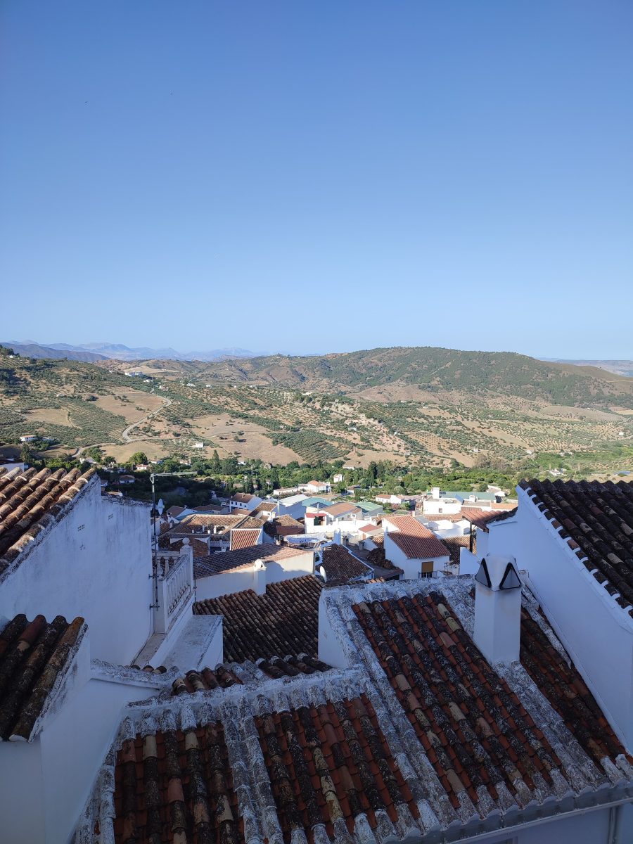 Cinco pueblos de la Sierra de las Nieves para perderte - WhatsApp Image 2024 12 18 at 14.34.43 Cinco pueblos de la Sierra de las Nieves para perderte - WhatsApp Image 2024 12 18 at 14.34.43