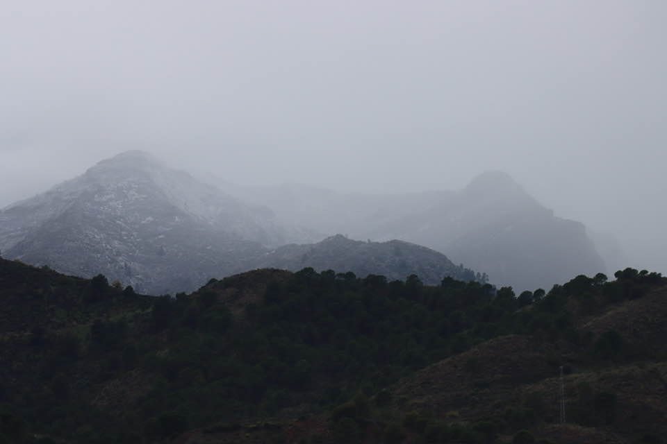 La Sierra de las Nieves hace honor a su nombre y empieza a teñirse de blanco - nieve sierra La Sierra de las Nieves hace honor a su nombre y empieza a teñirse de blanco - nieve sierra