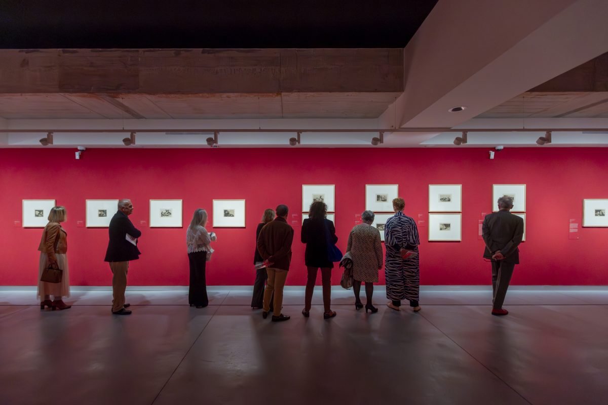 El Centro Cultural Mirador del Carmen de Estepona recibe 40.000 visitantes en menos de un año - 119 BK6A4948 Mejorado NR El Centro Cultural Mirador del Carmen de Estepona recibe 40.000 visitantes en menos de un año - 119 BK6A4948 Mejorado NR