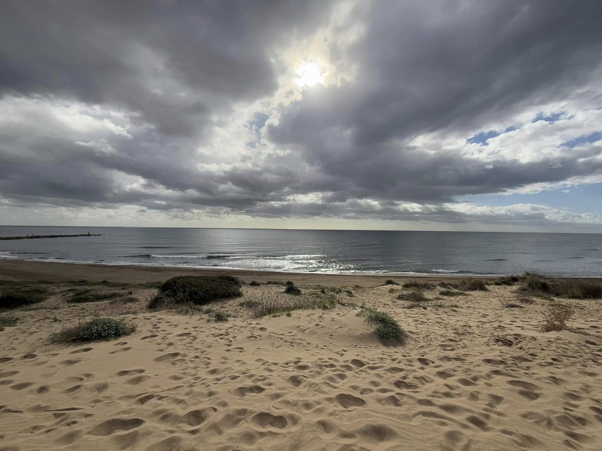 La pequeña Tarifa de Marbella: Las Dunas de Artola en Cabopino, un paraíso de arena, vegetación y sal - 473168557 1192496836214270 2346554487270563292 n La pequeña Tarifa de Marbella: Las Dunas de Artola en Cabopino, un paraíso de arena, vegetación y sal - 473168557 1192496836214270 2346554487270563292 n