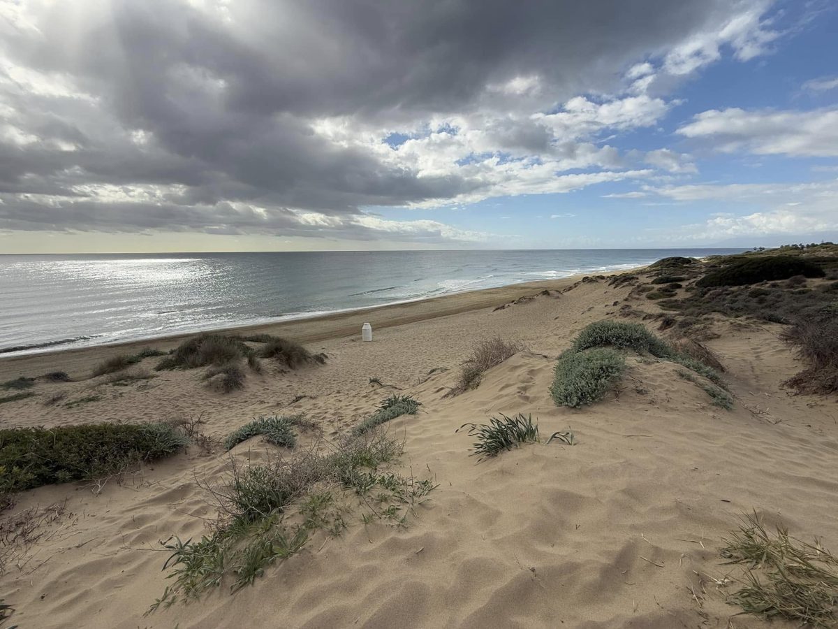 La pequeña Tarifa de Marbella: Las Dunas de Artola en Cabopino, un paraíso de arena, vegetación y sal - 473355399 1192496766214277 689665656996233220 n La pequeña Tarifa de Marbella: Las Dunas de Artola en Cabopino, un paraíso de arena, vegetación y sal - 473355399 1192496766214277 689665656996233220 n