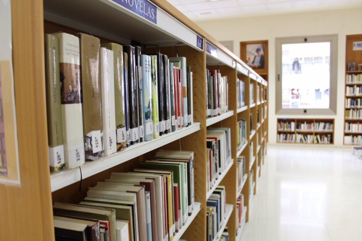 Las bibliotecas municipales de Fuengirola recibieron más de 108.000 visitas en 2024, un 28% más que en 2023 - Biblioteca Fuengirola Las bibliotecas municipales de Fuengirola recibieron más de 108.000 visitas en 2024, un 28% más que en 2023 - Biblioteca Fuengirola