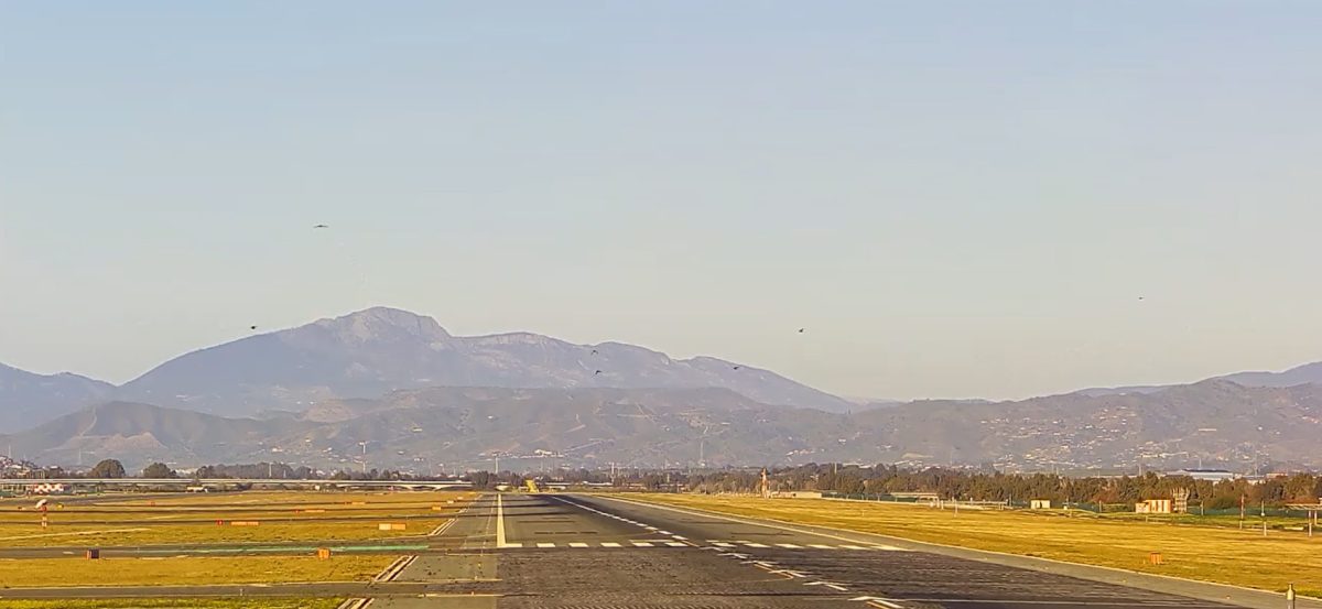 La niebla obliga a desviar cinco vuelos con destino Sevilla al aeropuerto de Málaga - Captura de pantalla 2025 01 10 103544 La niebla obliga a desviar cinco vuelos con destino Sevilla al aeropuerto de Málaga - Captura de pantalla 2025 01 10 103544