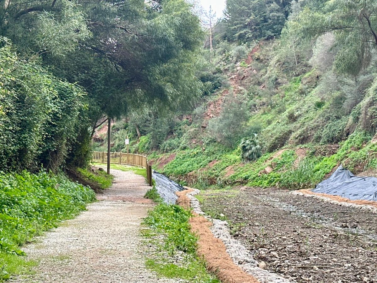 Fuengirola finaliza la renovación del Parque de Las Presas de Torreblanca - Imagen del parque de Las Presas tras los trabajos de renovacion Fuengirola finaliza la renovación del Parque de Las Presas de Torreblanca