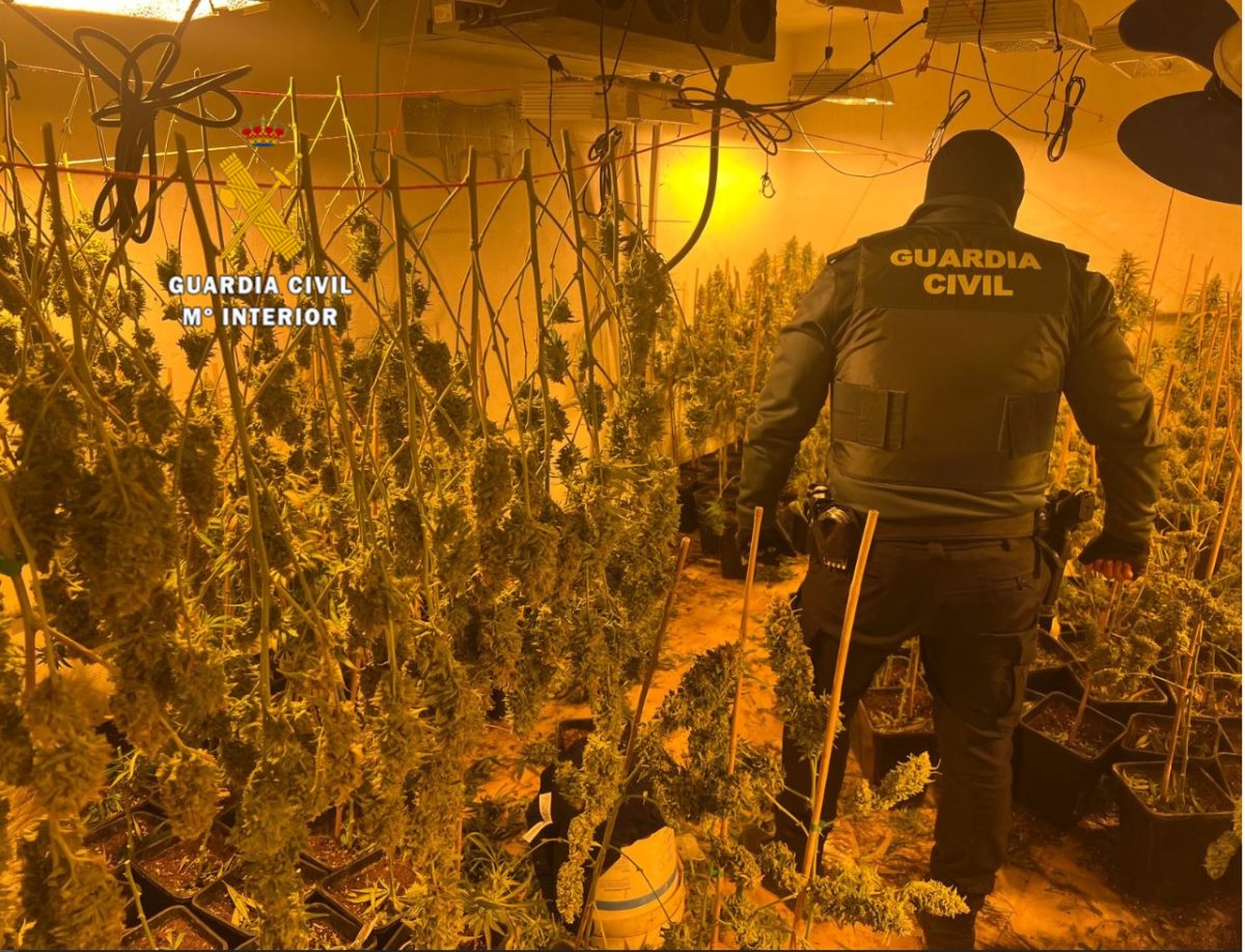 Siete detenidos tras la desarticulación de una plantación de marihuana indoor en Cártama - Op Canesal 1 Siete detenidos tras la desarticulación de una plantación de marihuana indoor en Cártama - Op Canesal 1