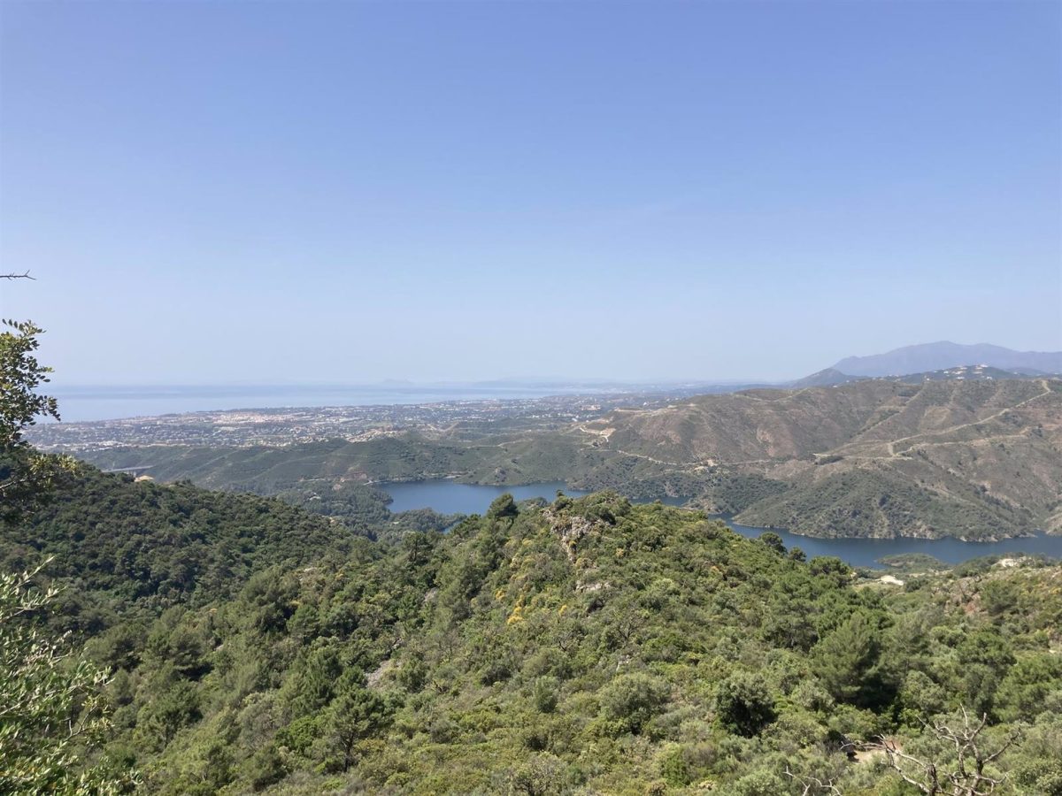 Rescatado en helicóptero un senderista tras romperse un pie al sufrir una caída en Istán - Sendero de Istan Rescatado en helicóptero un senderista tras romperse un pie al sufrir una caída en Istán - Sendero de Istan