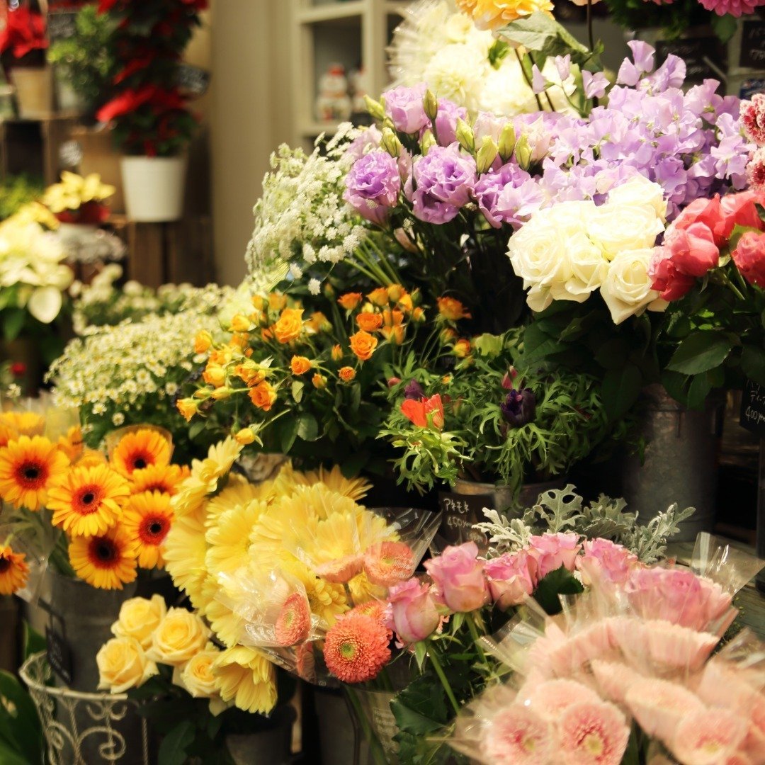 El Mercado de Flores llega a la Plaza Pablo Ruiz Picasso de Torremolinos para celebrar San Valentín - WhatsApp Image 2025 01 20 at 09.54.04 El Mercado de Flores llega a la Plaza Pablo Ruiz Picasso de Torremolinos para celebrar San Valentín - WhatsApp Image 2025 01 20 at 09.54.04