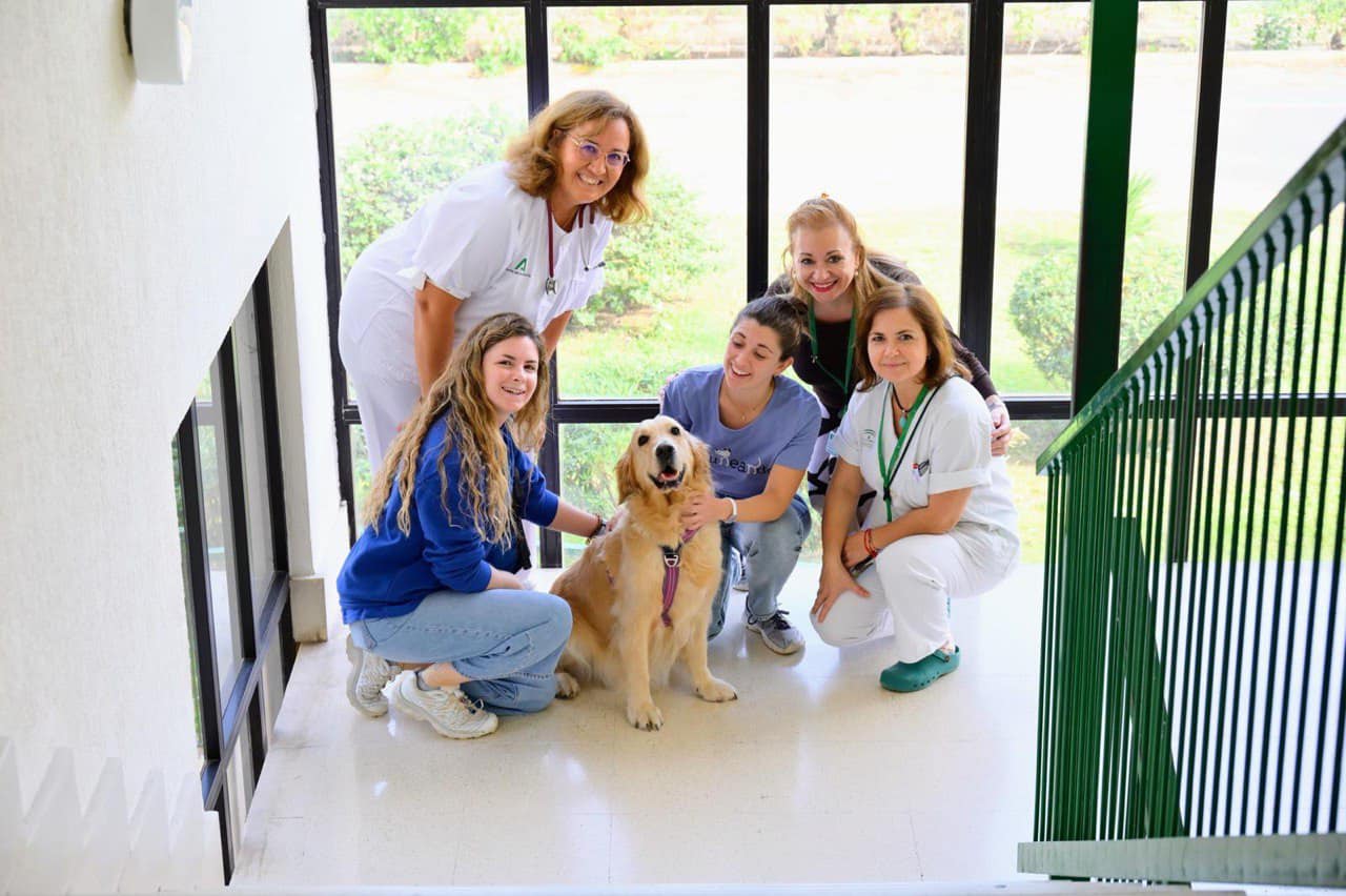 El Hospital Clínico de Málaga Introduce la terapia asistida con animales en cuidados paliativos - hospital clinico malaga El Hospital Clínico de Málaga Introduce la terapia asistida con animales en cuidados paliativos - hospital clinico malaga